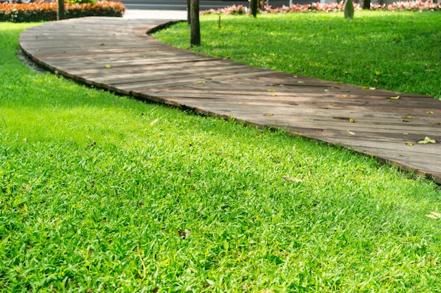 Winding pathway with grass on the sides
