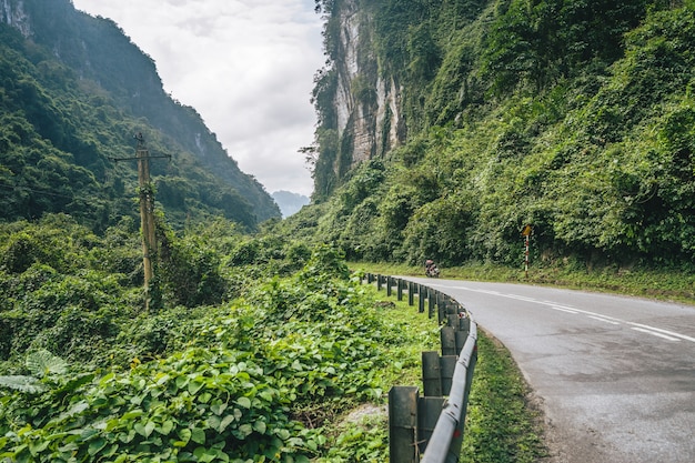 Free photo winding road between green forest mountains