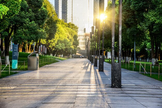 Winding Road through a City Park