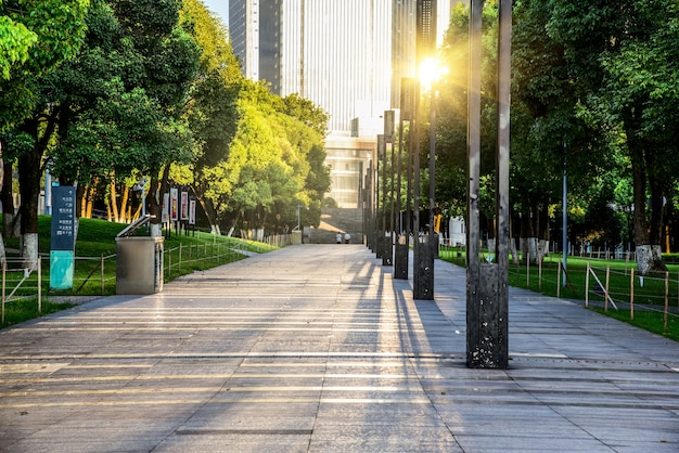 Winding Road through a City Park