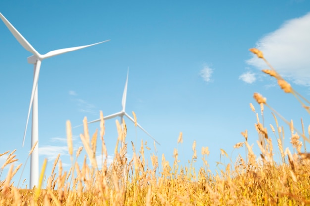 Windmill Grassland Field Hill Natural Scenics Concept