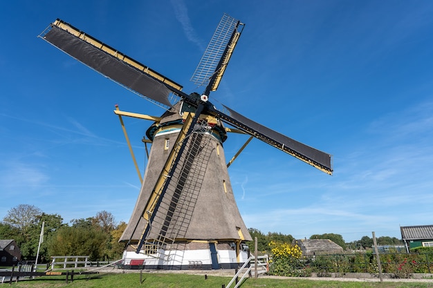 Windmill surrounded by green trees and vegetation under a clear blue sky