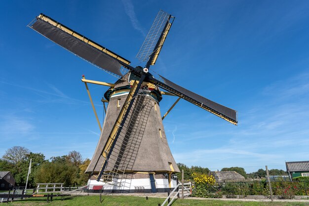 Windmill surrounded by green trees and vegetation under a clear blue sky