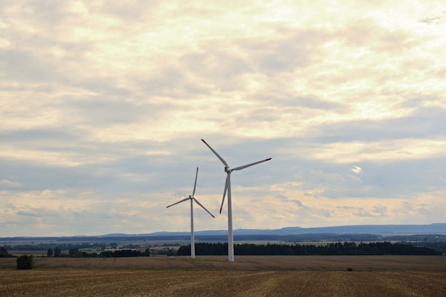 "Windmills in fields"