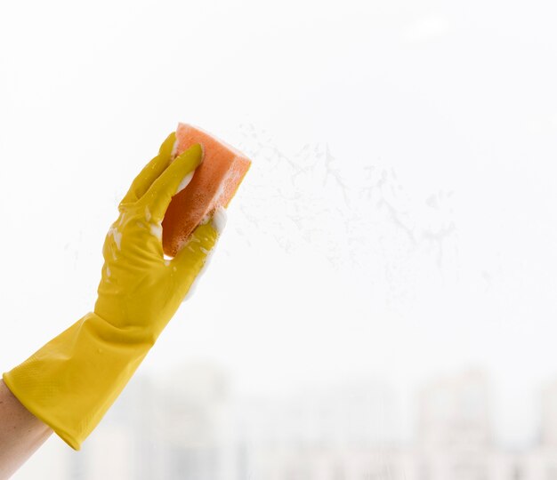 Window being cleaning with sponge