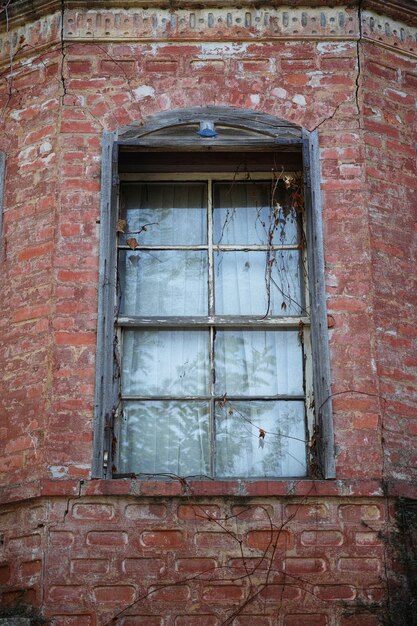 Windows of a building