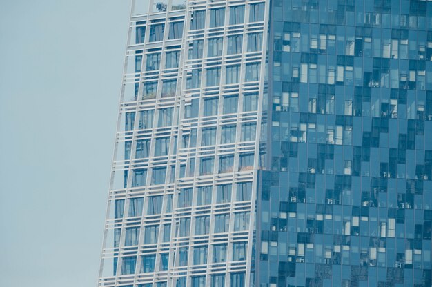 비즈니스 빌딩의 창