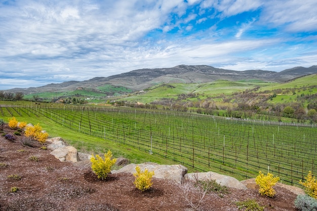 Foto gratuita vista della cantina