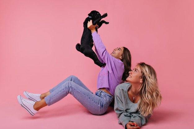 Winsome european girl holding black french bulldog. portrait of laughing ladies playing with puppy on pink.