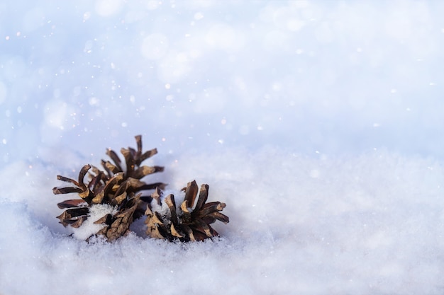 Winter background with christmas tree toys and pine cones on fluffy snow on a sunny day