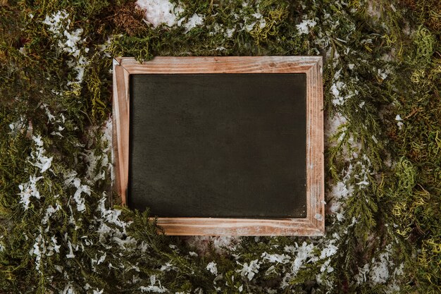 Winter composition with blank slate