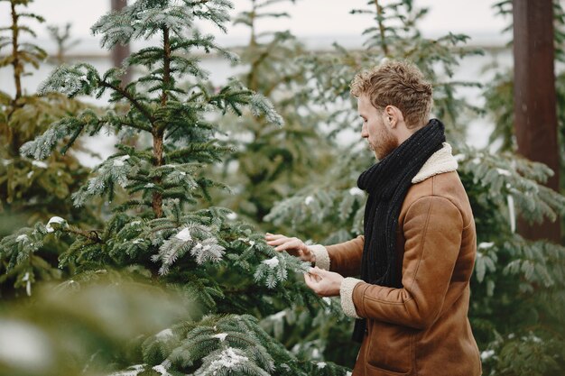 Concetto di inverno. ragazzo con un cappotto marrone. venditore di albero di natale.