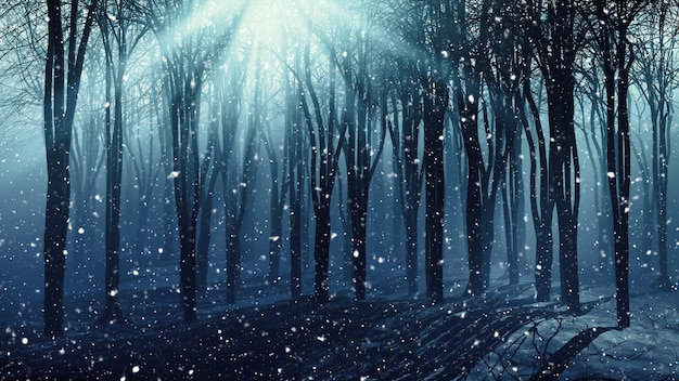 Winter forest