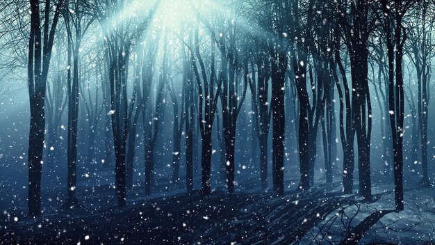 Winter forest