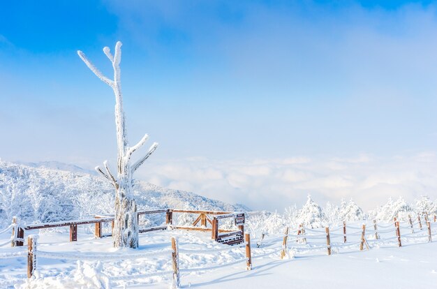서울, 한국에서 떨어지는 눈 산에서 겨울 풍경.