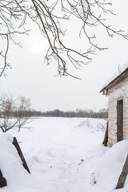 Зимний пейзаж в деревне. вид на снежное поле Premium Фотографии