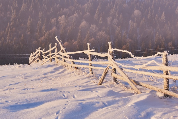 Alberi di paesaggio invernale e recinzione in brina, sfondo con alcuni punti salienti morbidi e fiocchi di neve