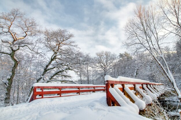 Winter landscape with a snowy bridge