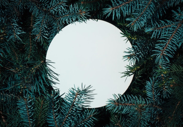 Winter nature flat lay made with fir branches christmas background with round frame copy space