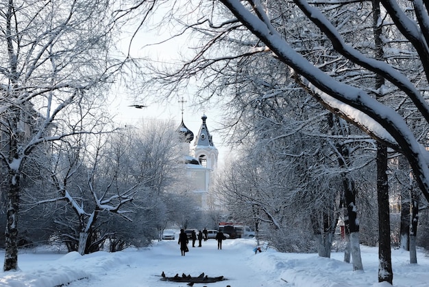 Филиал зимнего парка завода, засыпанный снегом Premium Фотографии