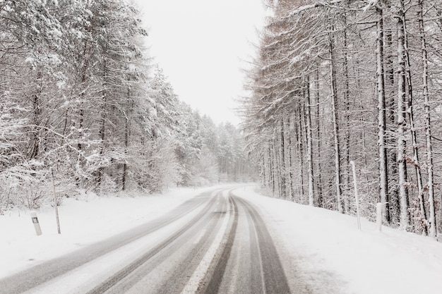 Winter road in clod forest