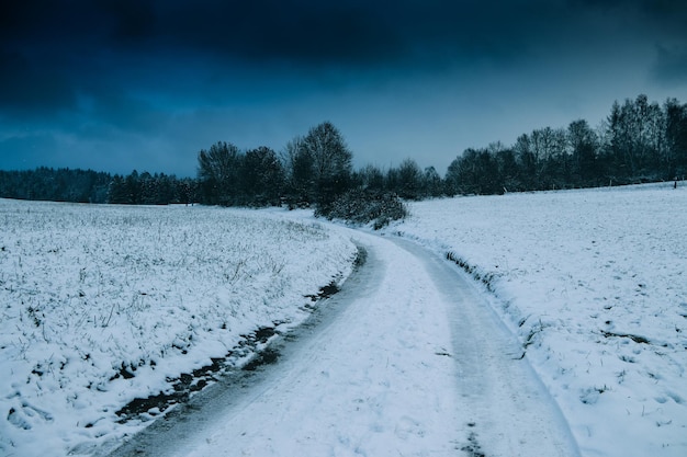 Winter road passing through snow-covered landscapes and woods, winter evening in the countryside