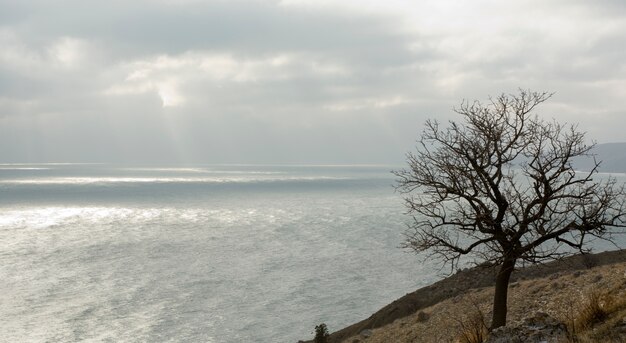 Winter sea landscape