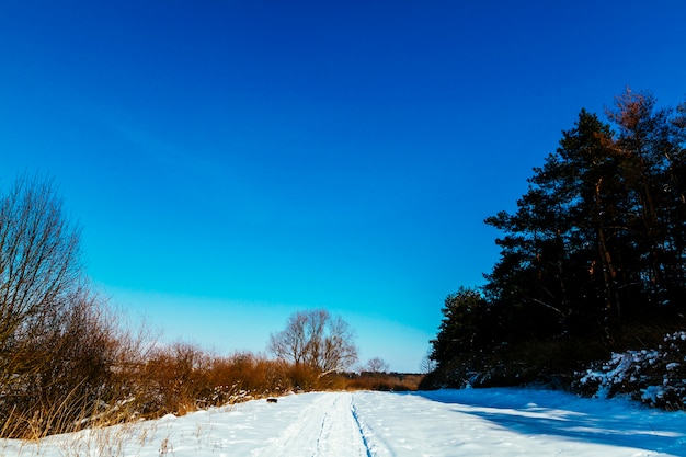 Winter snowy landscape against blue clear sky