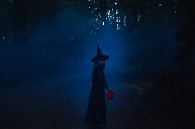 Девушка ведьмы на пути в тумане