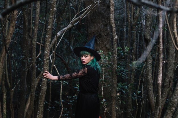 Ведьма, идущая по дереву