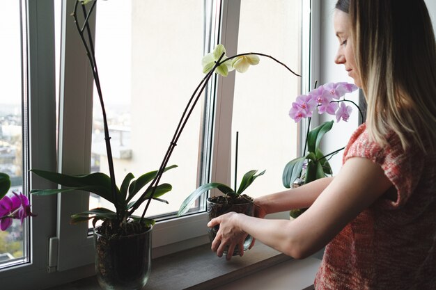 家の中で花を生ける女性