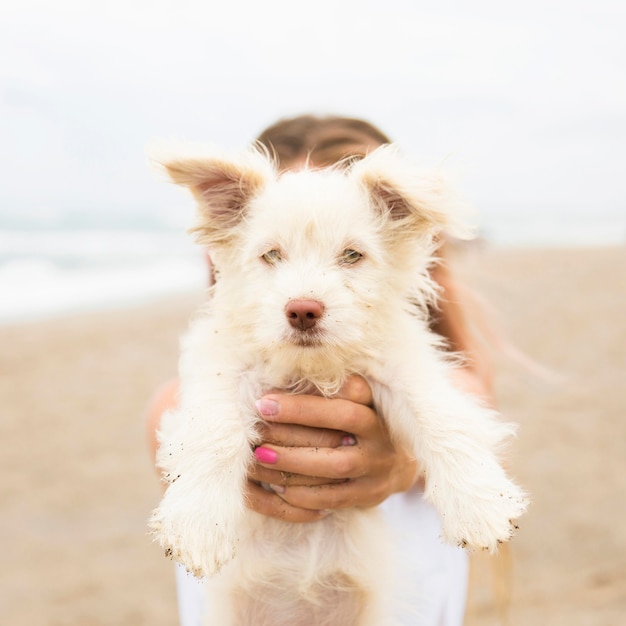 犬を抱いてビーチで女性