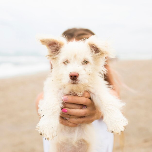 犬を抱いてビーチで女性