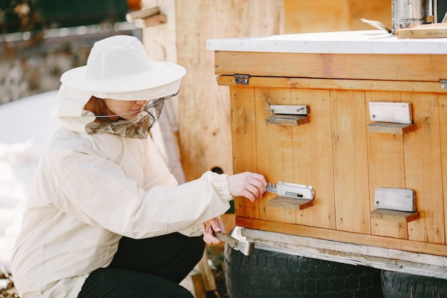 Woman beekeeper looks after bees. Wearing coverall woman work at apiary.