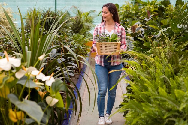 Woman carrying basket in greenhouse