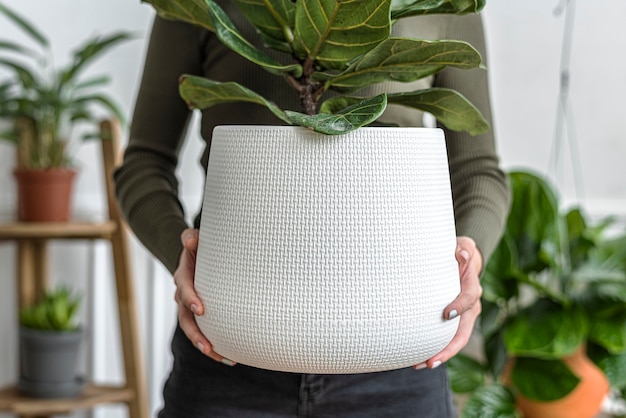 Free photo woman carrying a pot of fiddle figs