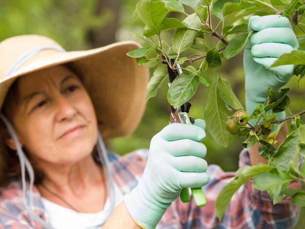 植物の葉を切る女性