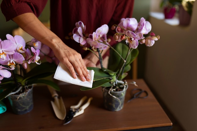 Foto gratuita una donna che decora la sua casa con orchidee