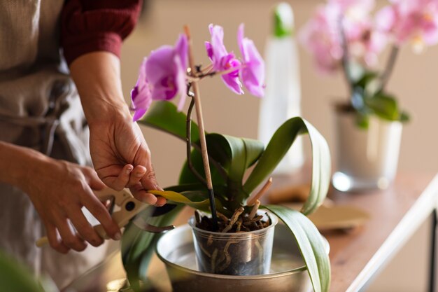 woman decorating her house with orchids
