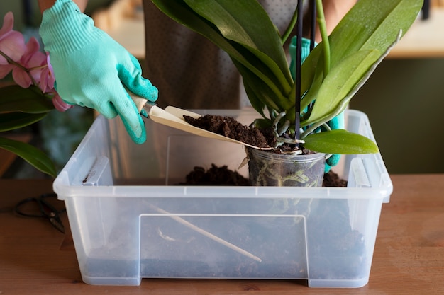 Free photo woman decorating her house with orchids