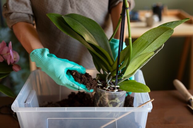 Woman decorating her house with orchids