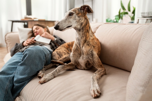 Женщина и собака спят на диване под высоким углом