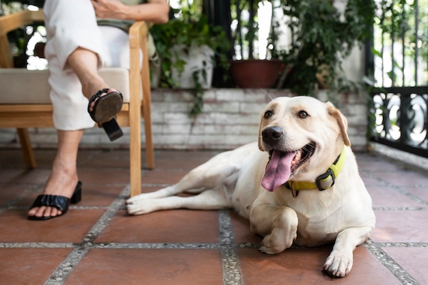 Donna che gode di un libro in giardino insieme al suo cane