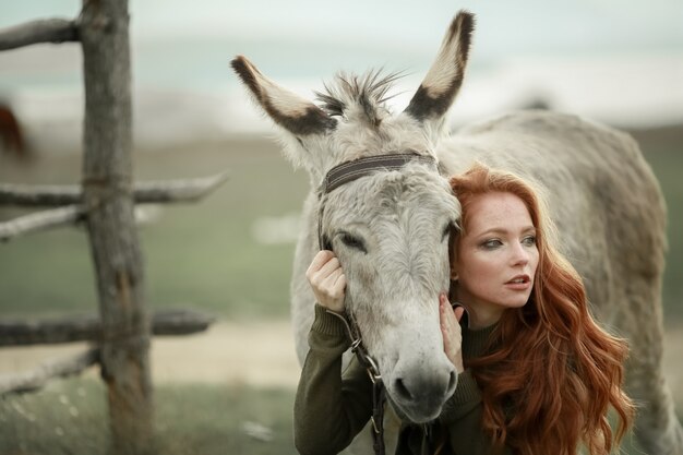 Quiet donkey in a field in spring | Premium Photo