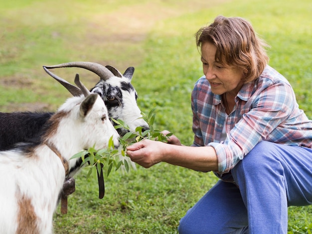 Бесплатное фото Женщина кормит некоторых коз