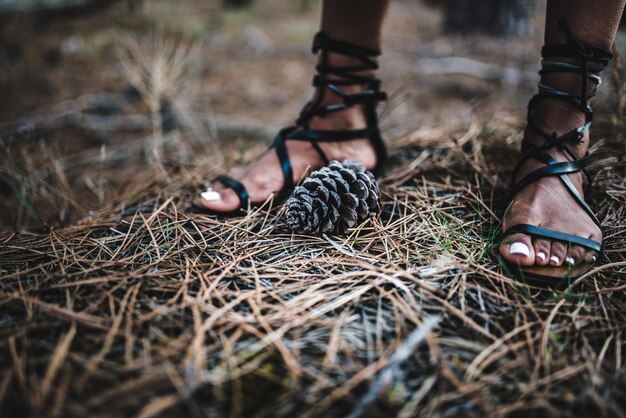지상에 침엽수 콘 근처 여자 발