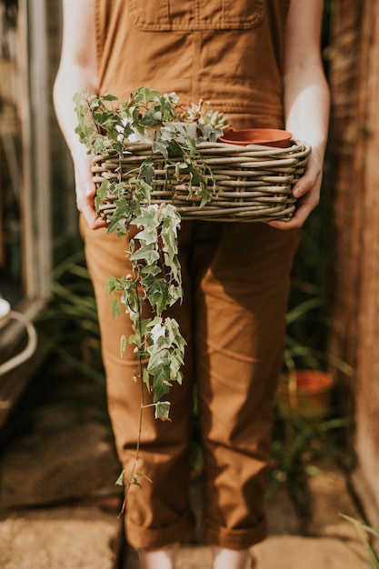 Woman gardener holding a basket of plant