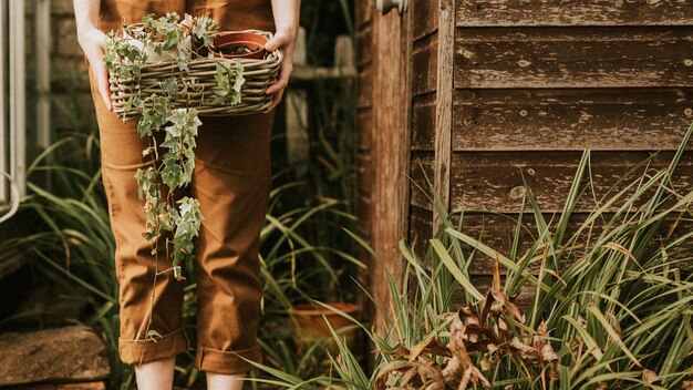 植物のバスケットを保持している女性の庭師