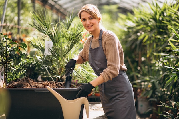 Woman gardner in a greenhouse