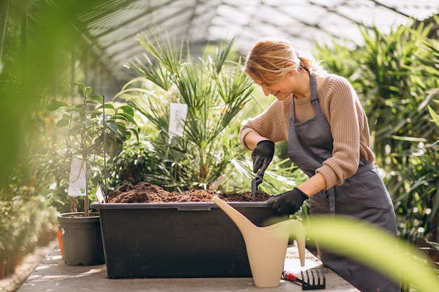 Woman gardner in a greenhouse